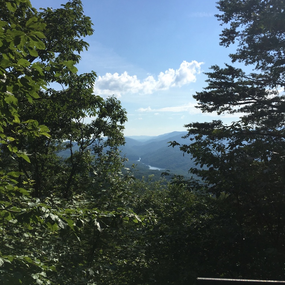 Meet your Posher, Kobie